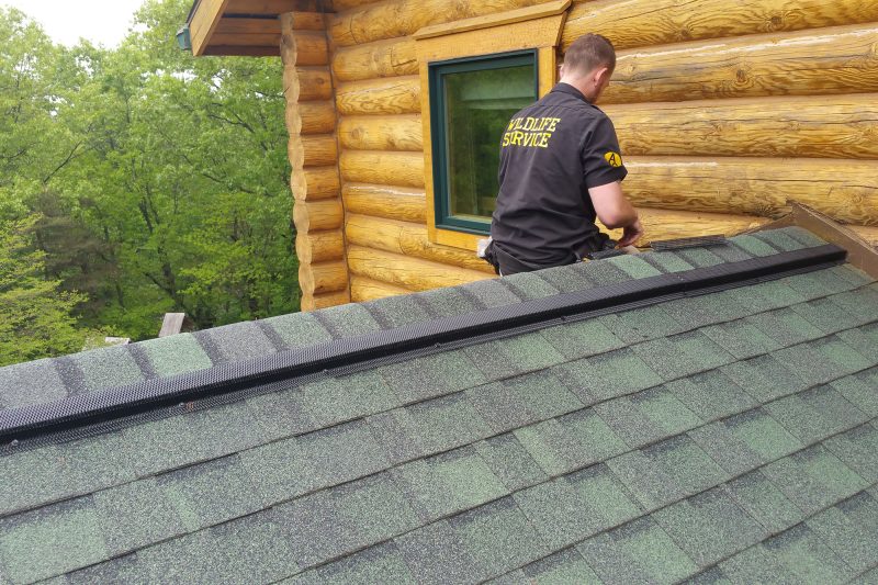 Ridge-Guard® roof vent cover installed across the roof by Wildlife Service