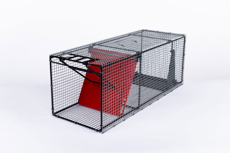 Proline® Trap large red door 3/4 view