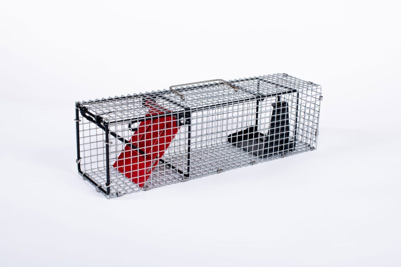 Proline® Trap small red door 3/4 view