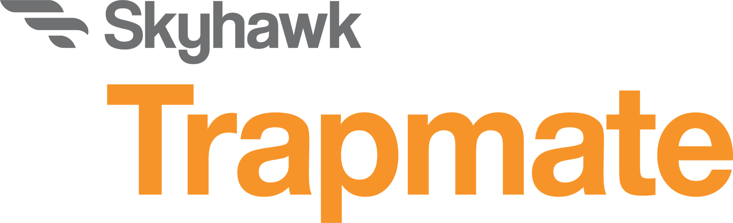 Skyhawk gray logo with a wing icon followed by the orange word 'Trampoline' (branding banner).
